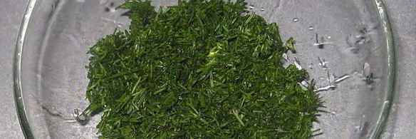 борщ холодный