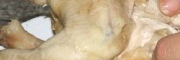 борщ со свежей капустой