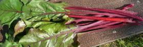 борщ свекольный