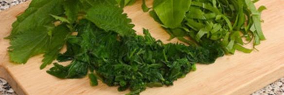 борщ зеленый с крапивой