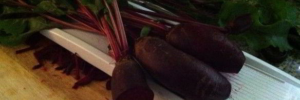 ботвинья — борщ из листьев молодой свеклы