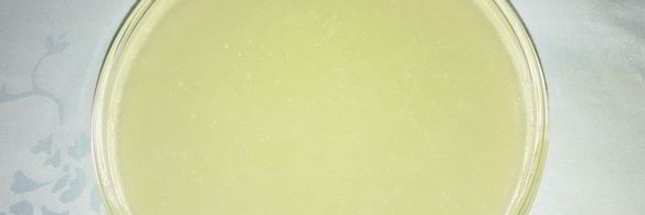 красный борщ из индейки