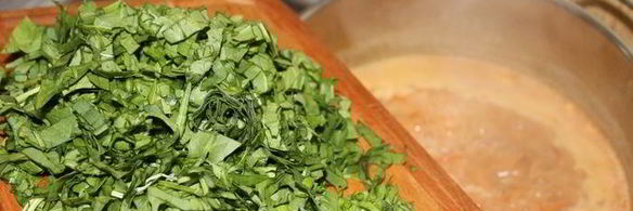 украинский борщ со щавелем