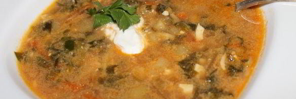 украинский борщ со щавелем