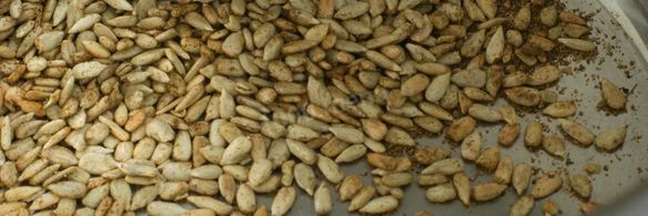 вегетарианский борщ