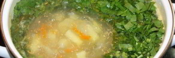 зеленый борщ