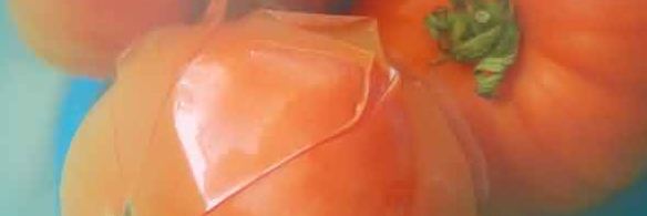 французcкий король супов