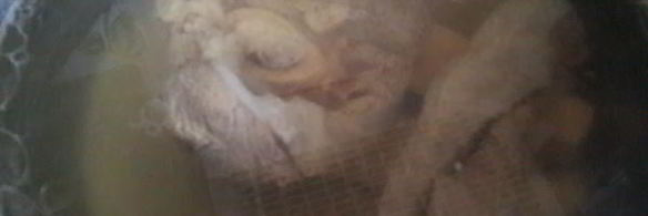 полтавский капустняк