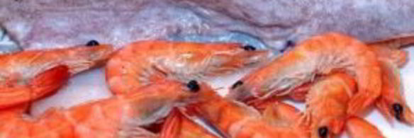 рыбный суп с фенхелем