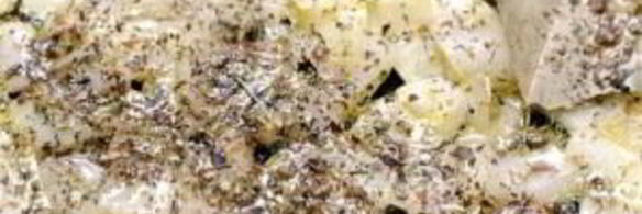 рыбный суп с фенхелем