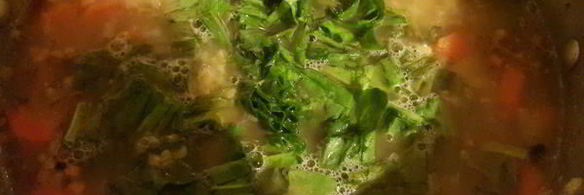 чечевичные зеленые щи