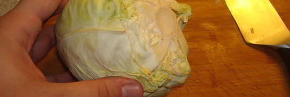 кислые деревенские щи