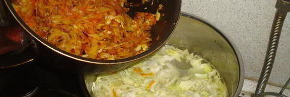 кислые деревенские щи