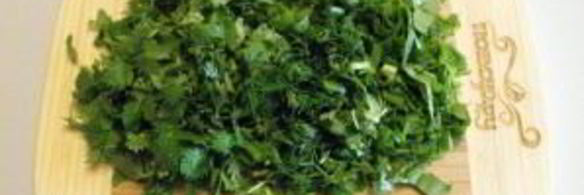 щи из крапивы