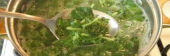 щи из крапивы