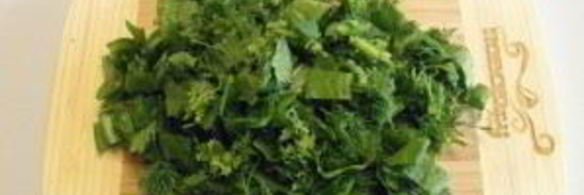 щи из щавеля и крапивы