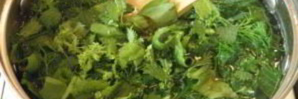 щи из щавеля и крапивы