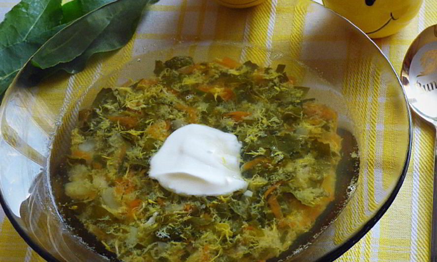 Рецепт щей из щавеля с перловкой