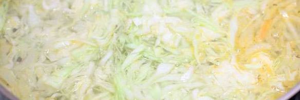 щи из свежей капусты с говядиной