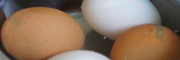 щи с бараниной