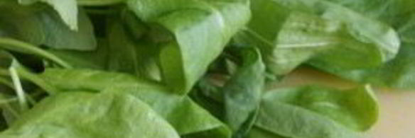 щи с бараниной