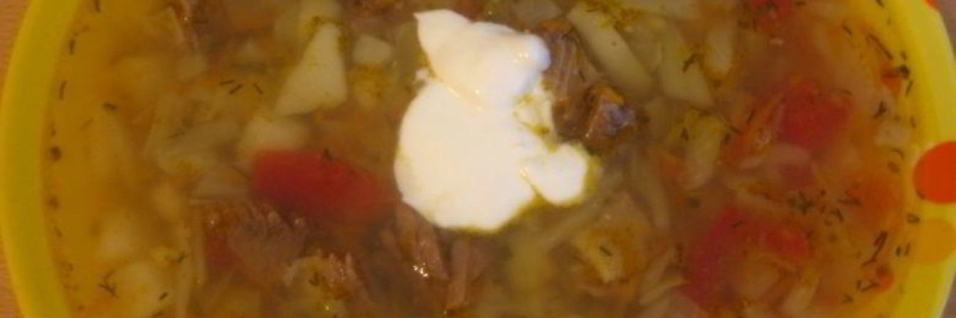 Щи с говядиной