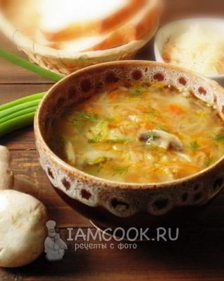 Щи с квашеной капустой и грибами