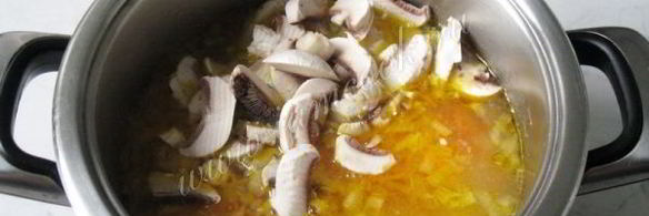 щи с квашеной капустой и грибами