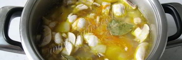 щи с квашеной капустой и грибами