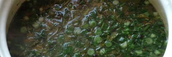 щи зеленые с крапивой на курином бульоне