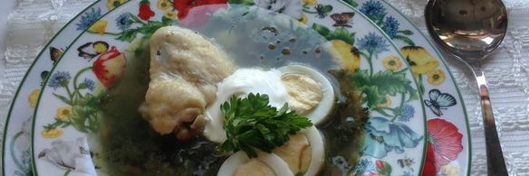 щи зеленые с крапивой на курином бульоне