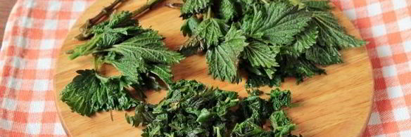 зеленые щи с капустой и крапивой