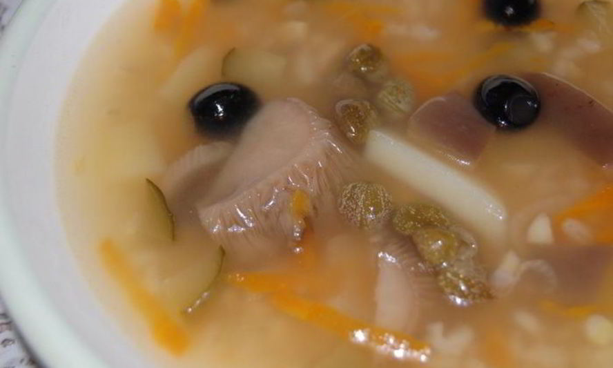 Рецепт грибной сборной солянки