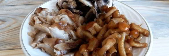 сборная грибная солянка