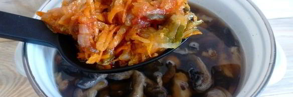 сборная грибная солянка