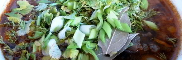 сборная грибная солянка