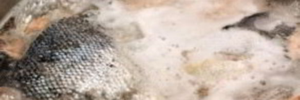 солянка без мяса