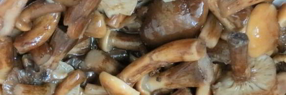 солянка грибная с огурцами