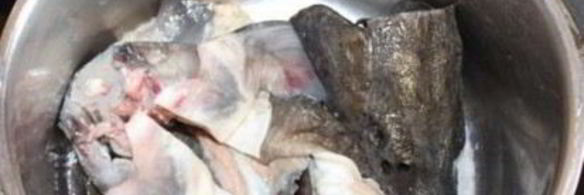 солянка из осетра