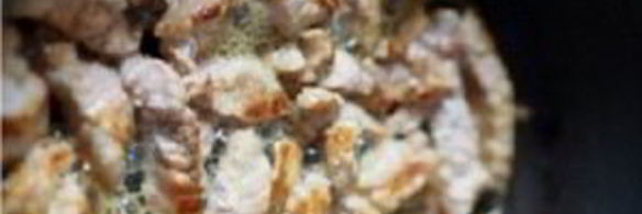 солянка на бульоне из говядины