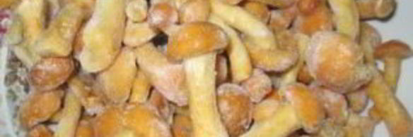 солянка с грибами и курицей