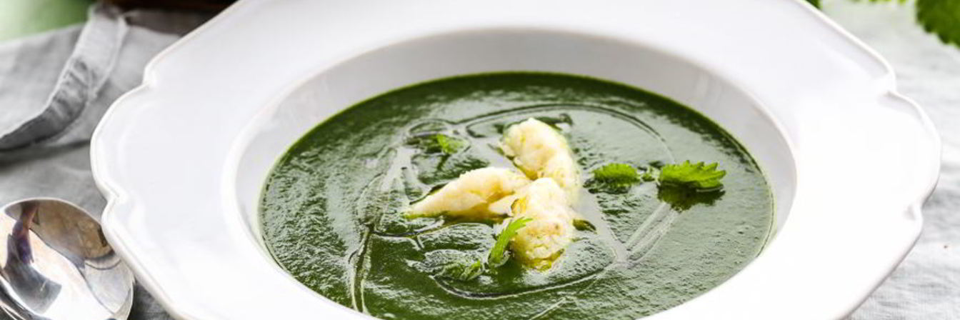 Суп из крапивы, латука и прочей рядом растущей зелени