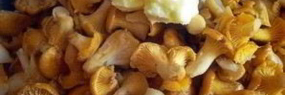 суп из лисичек