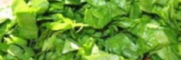 суп из щавеля