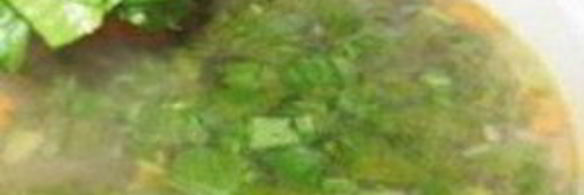 суп из щавеля