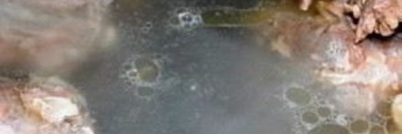 суп из телячьего хвоста