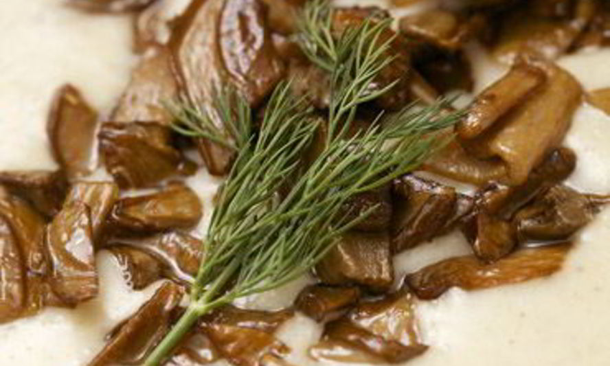 Рецепт супа-пюре из перловки с грибами