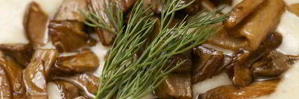 суп-пюре из перловки с грибами