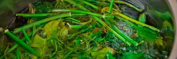 суп пюре из шпината