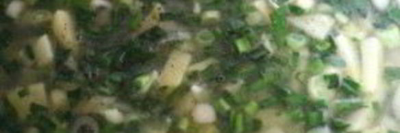 суп-пюре из зеленого лука